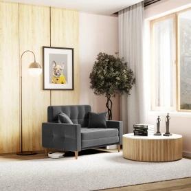 Диван-кровать Этро темно-серый 100х200