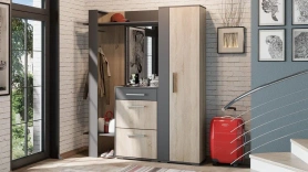 Шкаф для одежды Нуар Тип 1 54х33х200 Фон серый/Дуб сонома