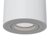 Потолочный светильник Maytoni Alfa C016CL-01W